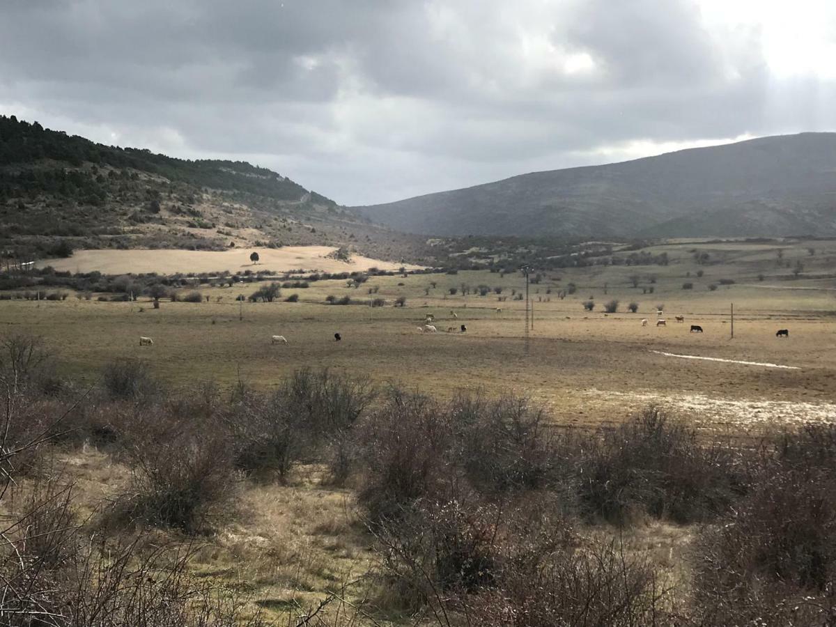 Hotel Rural Grado Del Pico 외부 사진